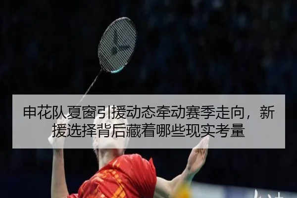 申花队夏窗引援动态牵动赛季走向，新援选择背后藏着哪些现实考量